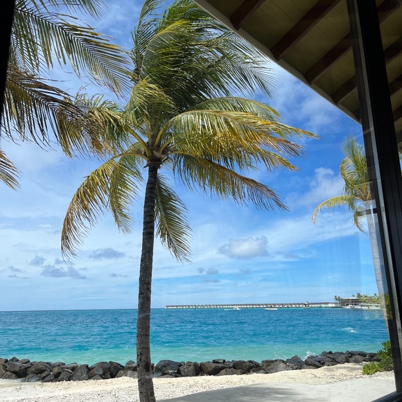 Meet your Posher, Meghan - Picture 1 of 1